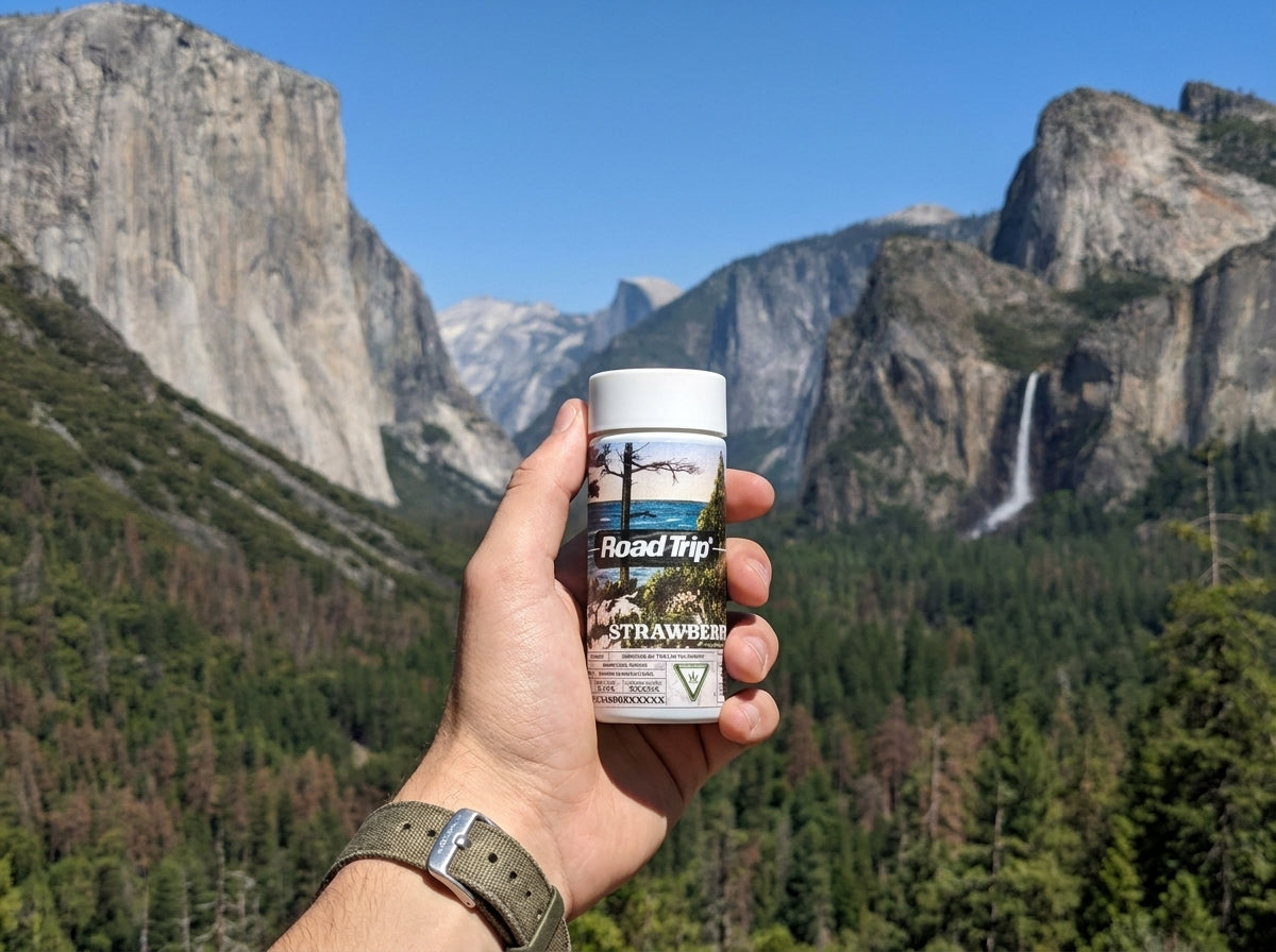 THE ROAD TRIP PREROLLED 1/8TH | 5x .7g PR | 25 CASE COUNT (MO)